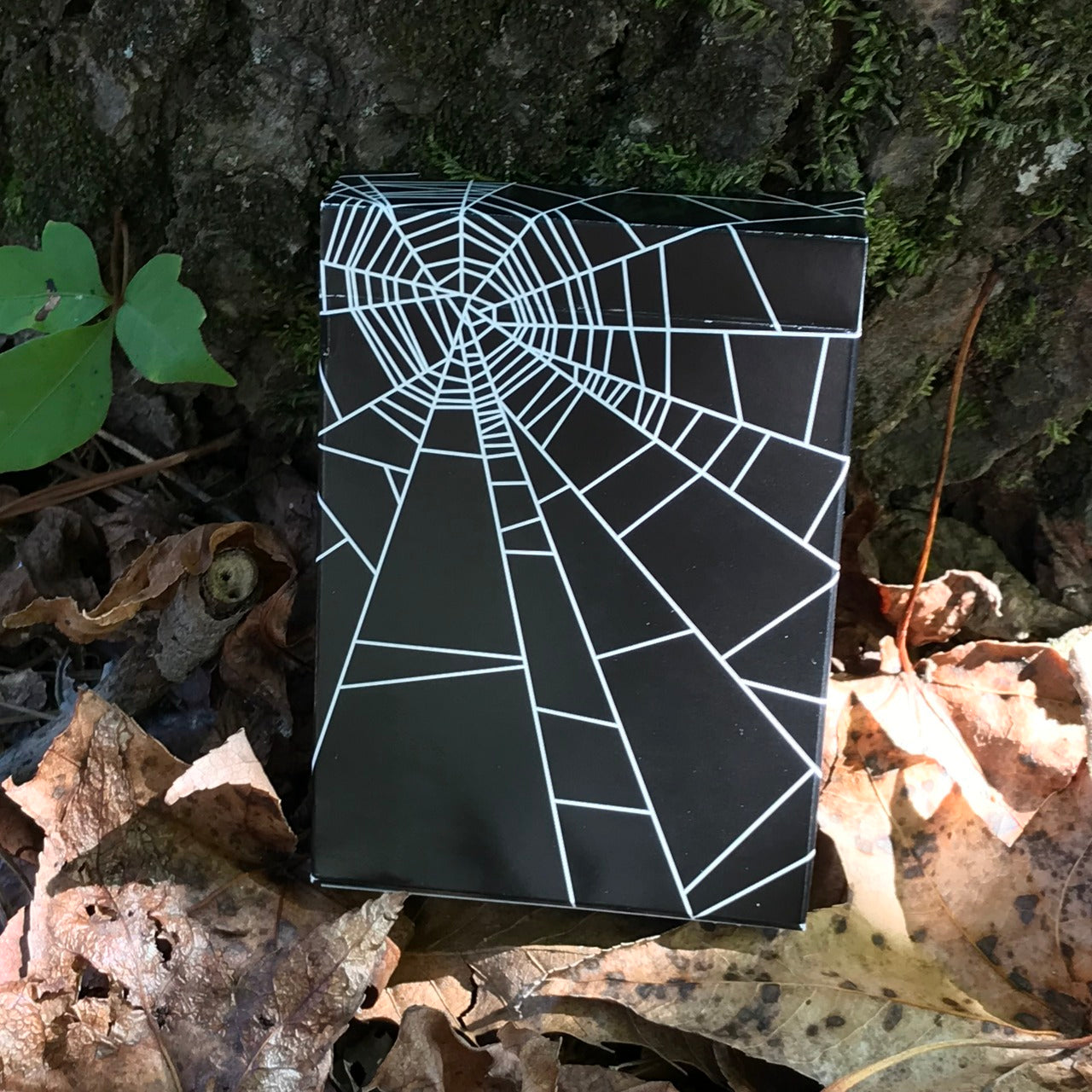 Spider Web Deck
