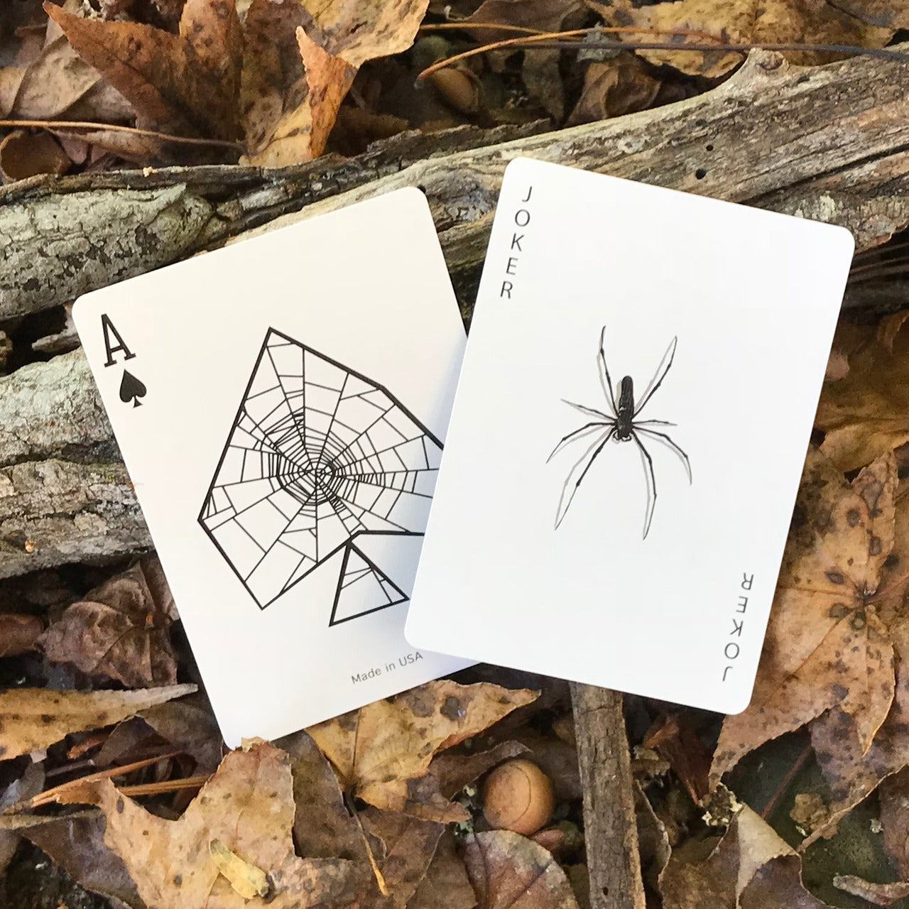 Spider Web Deck