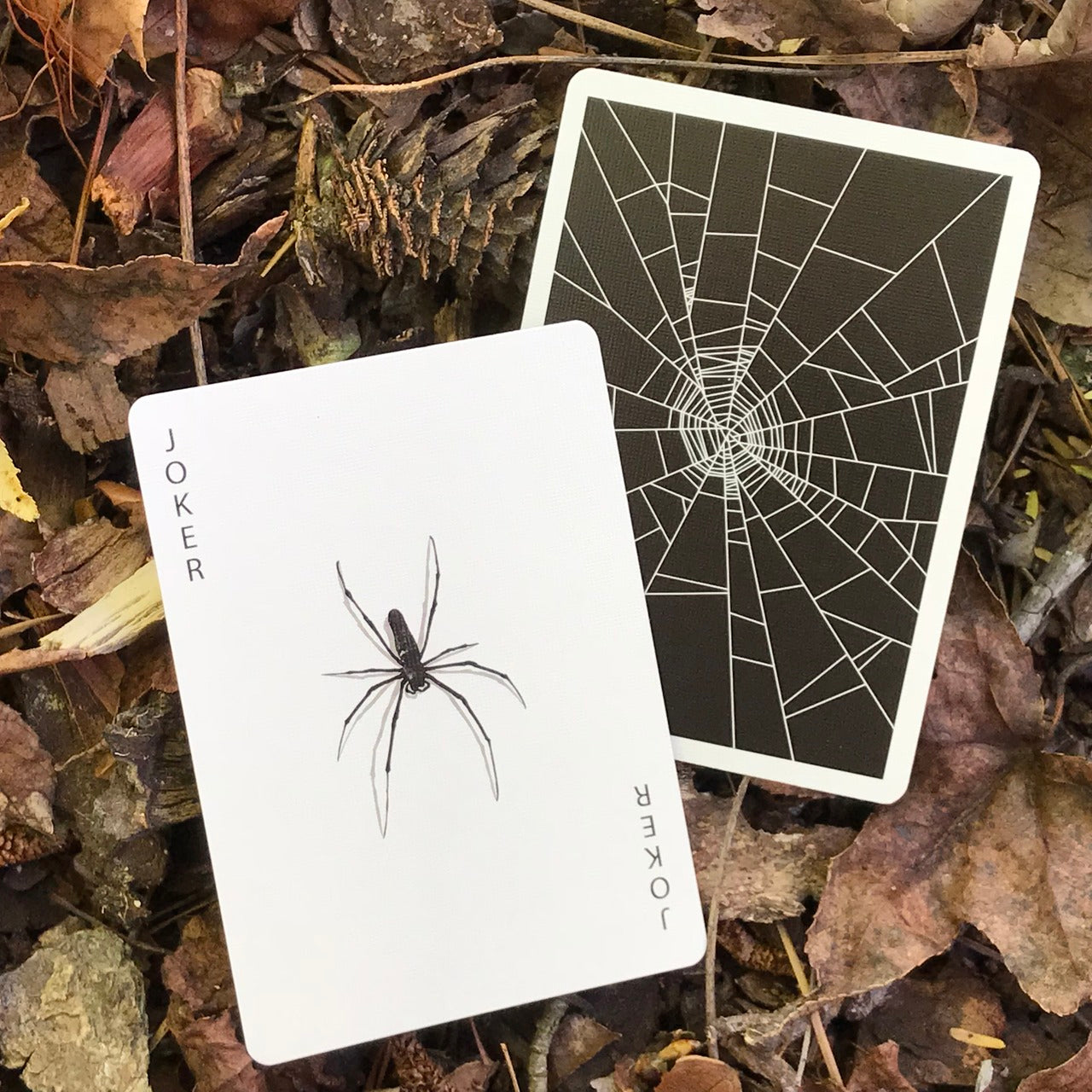 Spider Web Deck