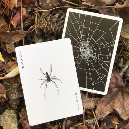Spider Web Deck