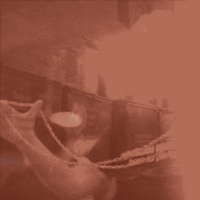 Fast and Loose by Paul Vigil