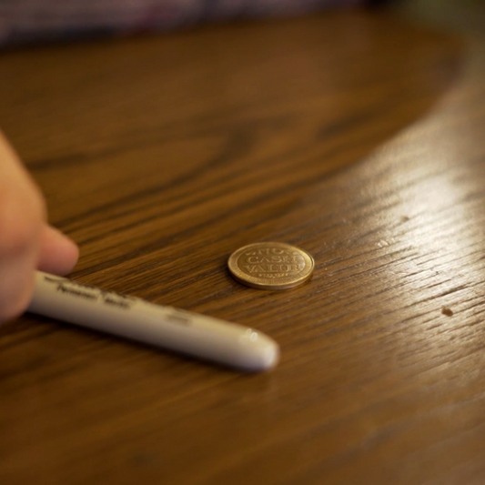 Game Changer by Craig Petty