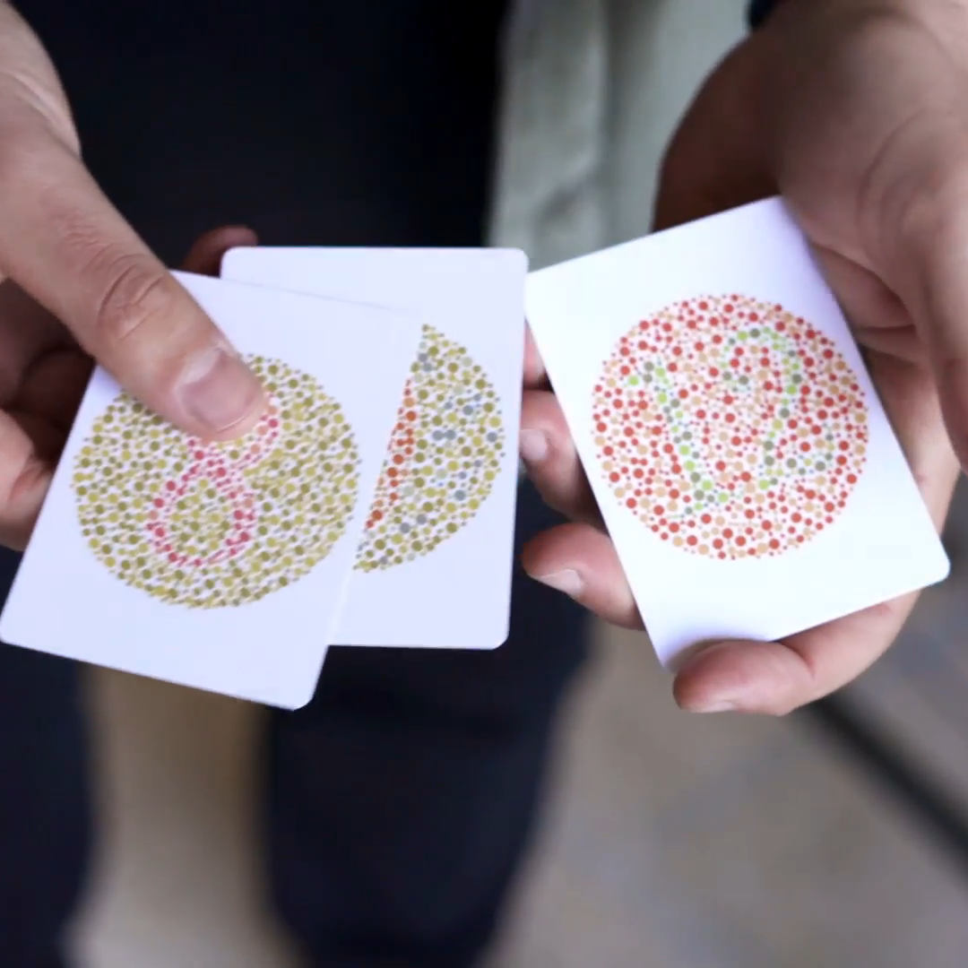 Ishihara Test by Liam Levanon