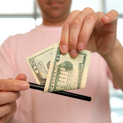 Misled Pen by Timothy Wenk