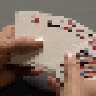Nemesis Deck by Nick Locapo