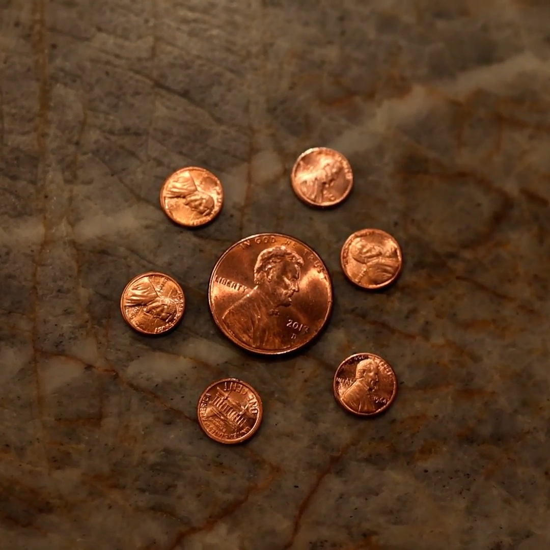 Raven Mini Penny