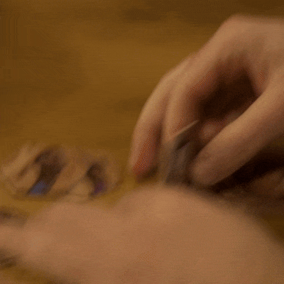 Secret of the Serpent by Dan Harlan