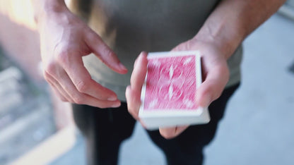 Molecule by Seth Race